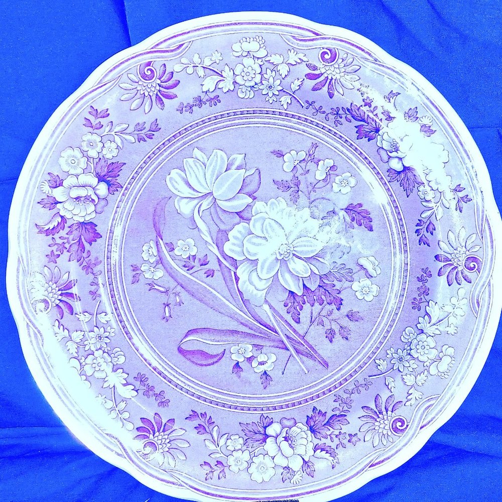 SPODE ARCHIVE COLLECTION, GEORGIAN SERIES 'BOTANICAL'  11-INCH PLATE